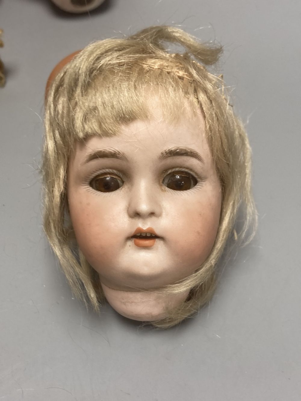 A Kammer & Reinhardt / Simon & Halbig bisque doll head, 10cm, three other German bisque doll heads and two English bisque doll heads,